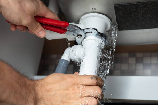 Best Basement water damage restoration  in Fairhope, AL