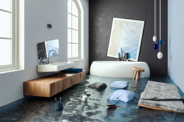 Best Professional water damage repair  in Fairhope, AL