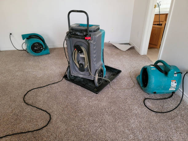 Best Ceiling water damage repair  in Fairhope, AL