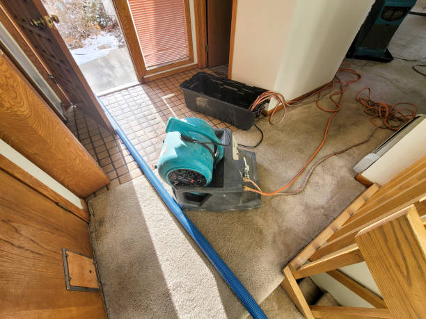 Best Flooded house restoration  in Fairhope, AL