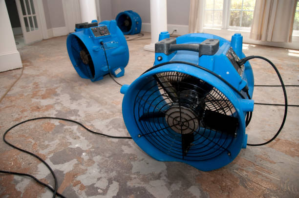 Best Water damage restoration experts  in Fairhope, AL