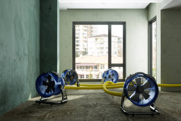Best Water damage contractors near me  in Fairhope, AL