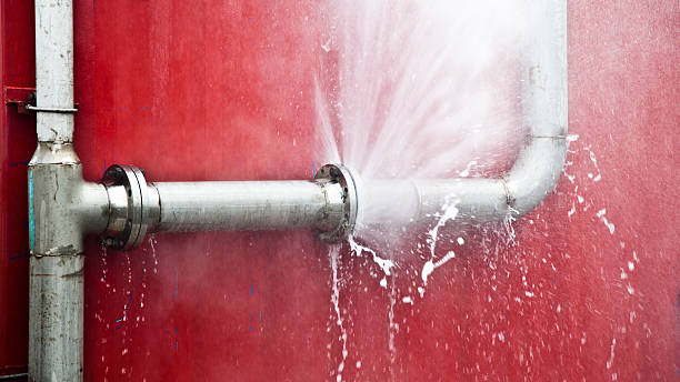 Best 24/7 water damage repair  in Fairhope, AL