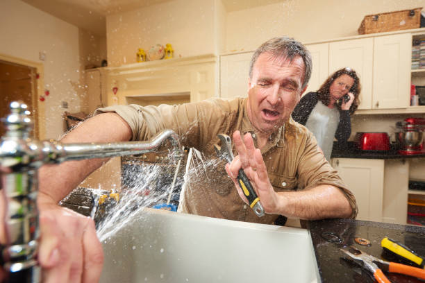Best Water damage cleanup near me  in Fairhope, AL